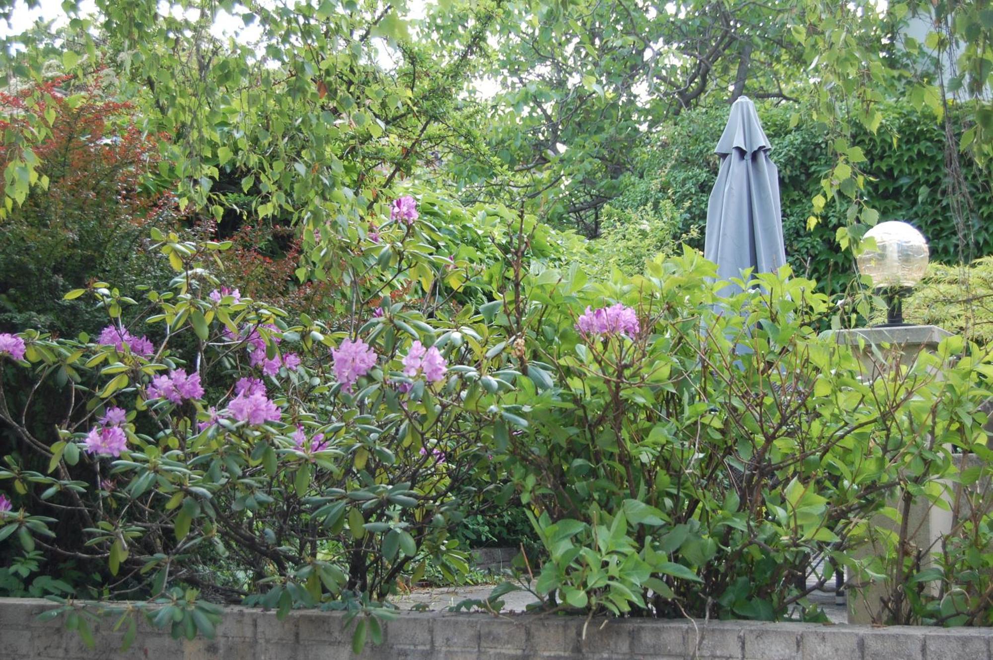 Bed and Breakfast Hofgassl Zentgraf Mörbisch am See Zewnętrze zdjęcie