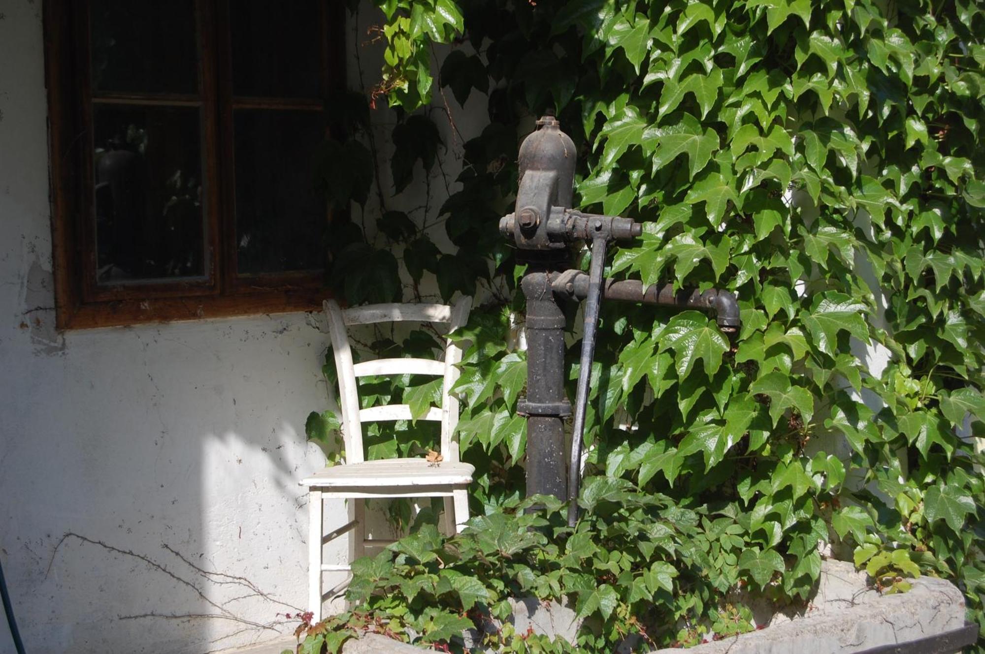 Bed and Breakfast Hofgassl Zentgraf Mörbisch am See Zewnętrze zdjęcie