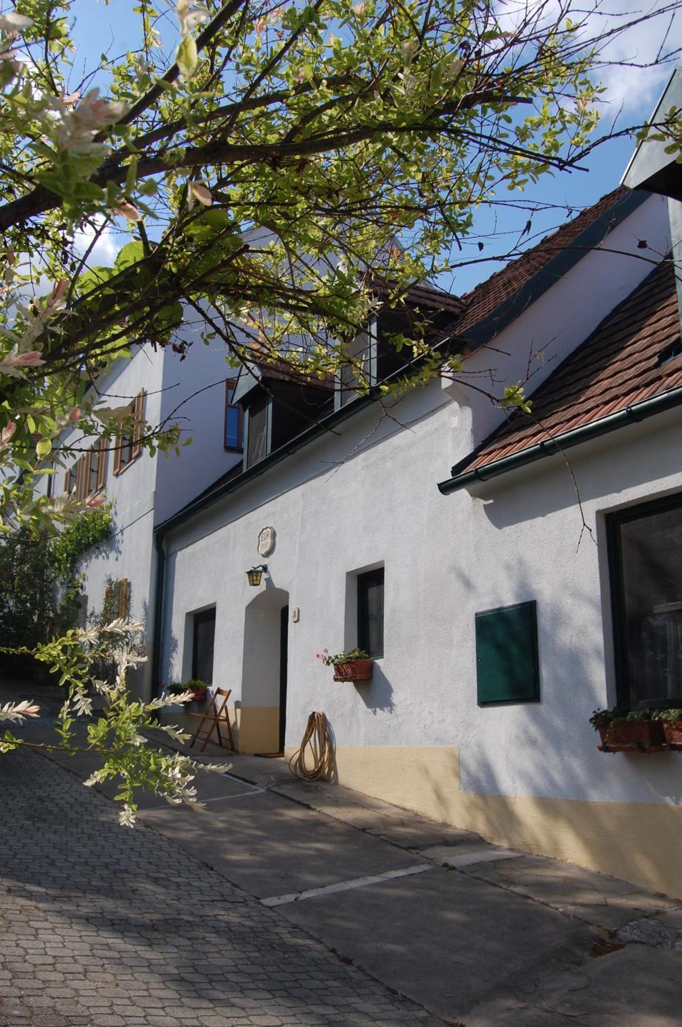 Bed and Breakfast Hofgassl Zentgraf Mörbisch am See Zewnętrze zdjęcie