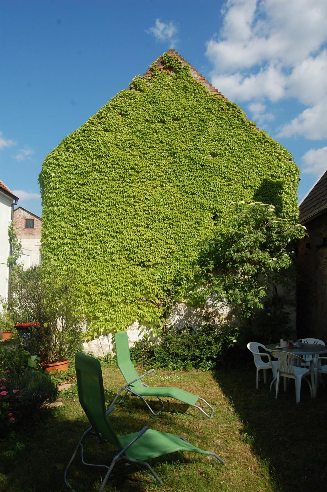Bed and Breakfast Hofgassl Zentgraf Mörbisch am See Zewnętrze zdjęcie