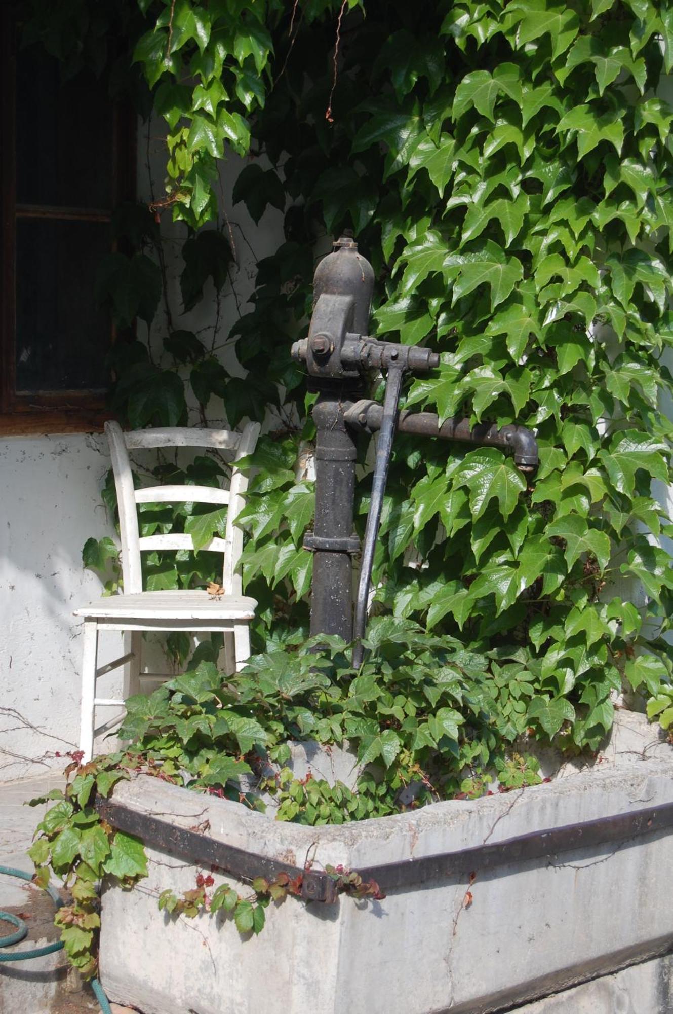 Bed and Breakfast Hofgassl Zentgraf Mörbisch am See Zewnętrze zdjęcie