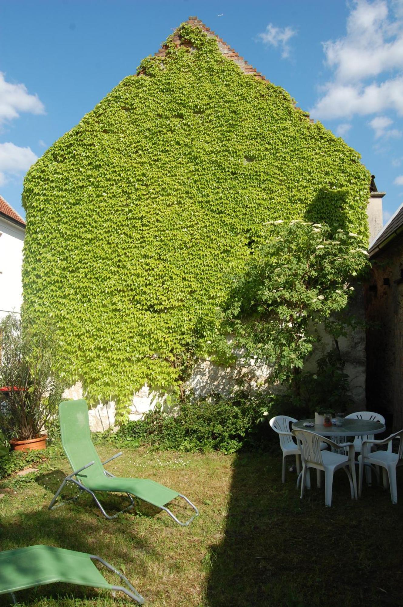 Bed and Breakfast Hofgassl Zentgraf Mörbisch am See Zewnętrze zdjęcie